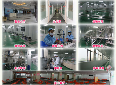 襄陽維美生物科技 專業(yè)計算機及辦公設(shè)備維修服務(wù)